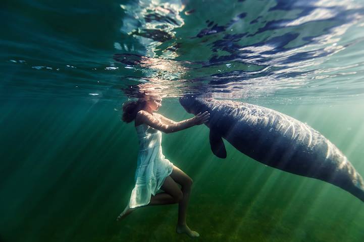 Nếu xem bức ảnh này hẳn các bạn sẽ nhớ về tuổi thơ với bộ phim 'Cô gái đại dương'.